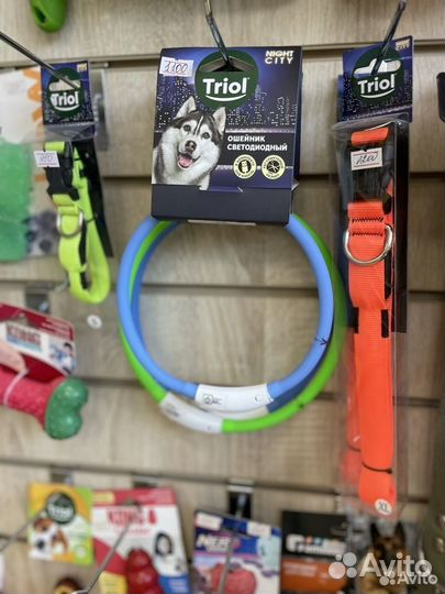 Ошейники и шлейки для собак