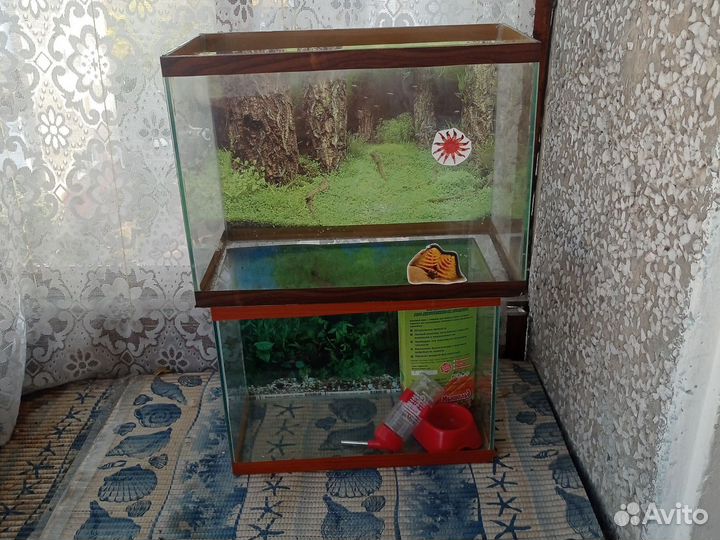 Аквариумы для хомяка