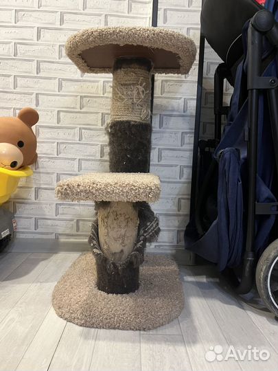 Когтеточка для кошки