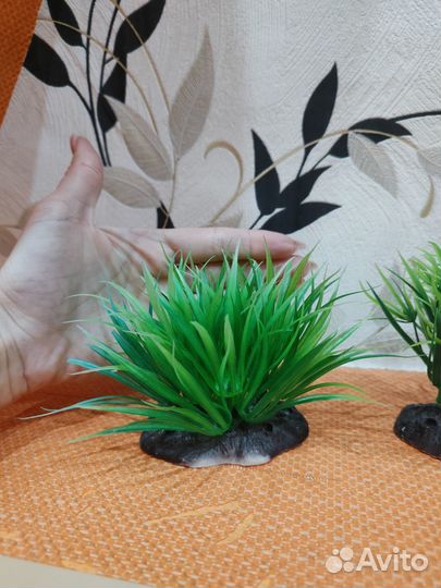 Декор в террариум