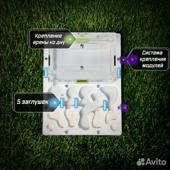 Формикарий/муравьиная ферма с муравьями