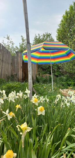 Участок 4,8 сот. (СНТ, ДНП)