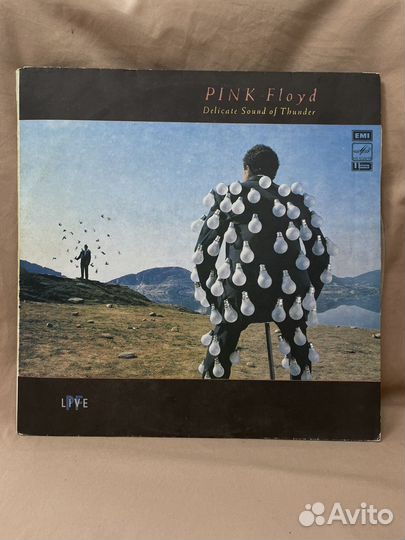 Pink floyd Delicate Sound of Thunder 2 LP (Сзр)