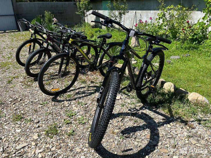 Велосипед на прокат