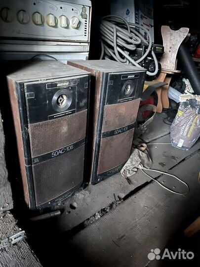 Колонки Вега 50ас 106