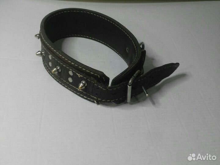 Ошейник для собак