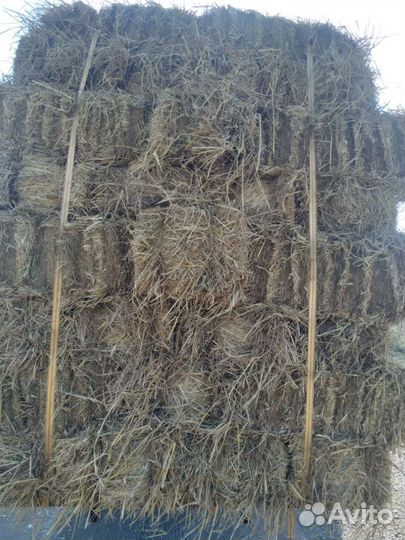 Солома в тюках рисовая