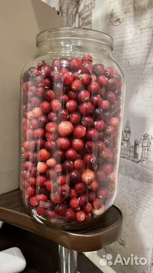 Клюква свежая