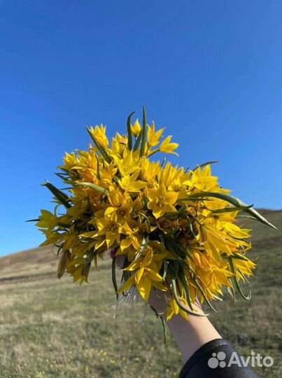 Цветная печать А4