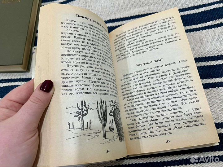 Все обо всем слово 1993