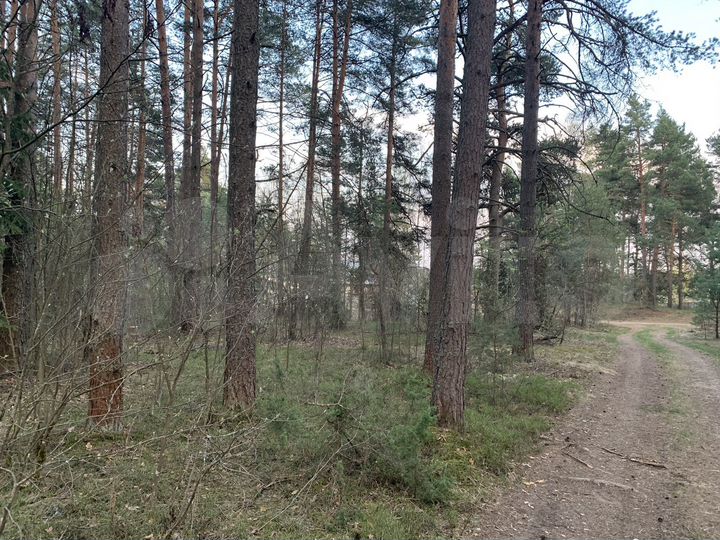 Участок 18 сот. (ИЖС)