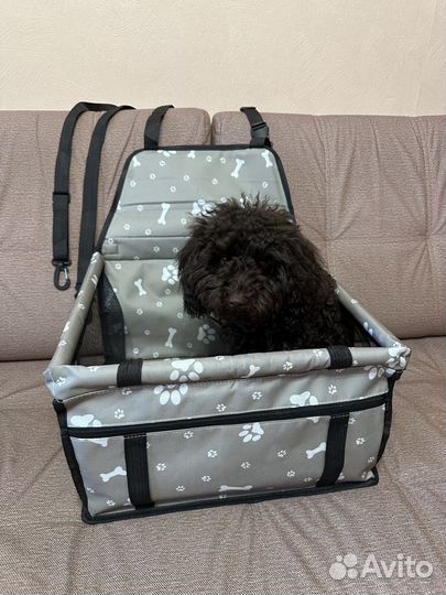 Автокресло для собак