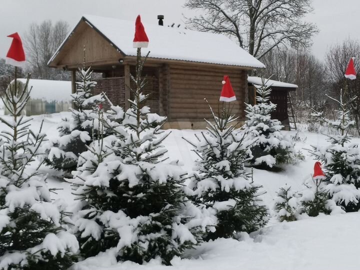 Коттедж 45 м² на участке 26 сот.