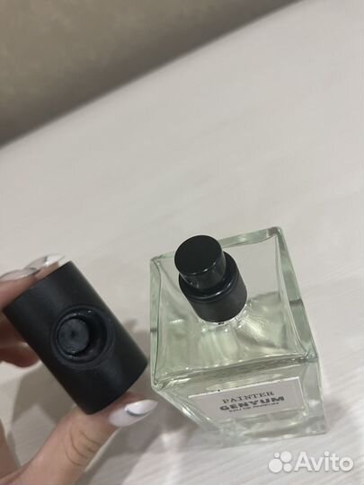 Genyum painter оригинал