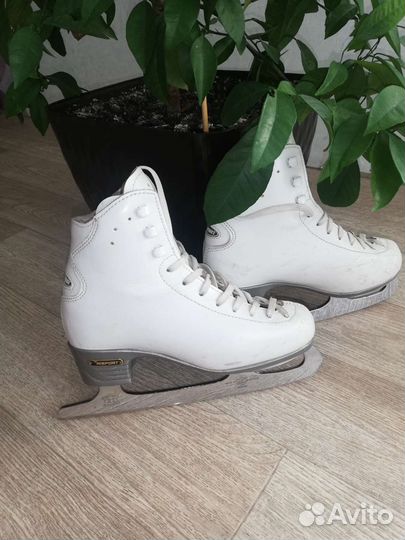 Фигурные коньки risport