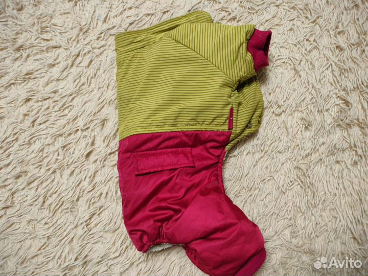 Продам собачий комбинезон