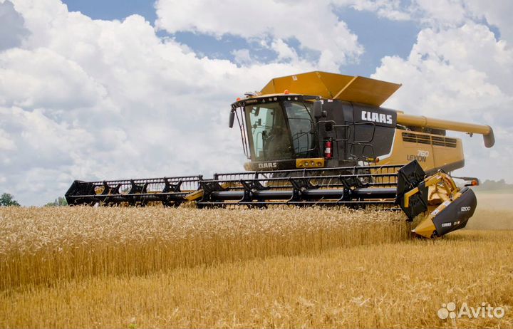 Claas запчасти