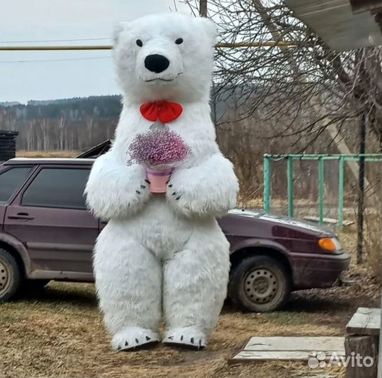 Аренда костюмов