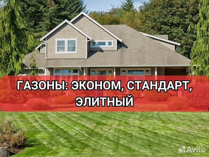 Рулонный газон