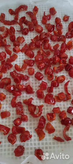 Боярышник Арнольда крупноплодный саженцы