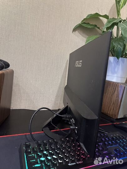 Монитор asus 24дюйма