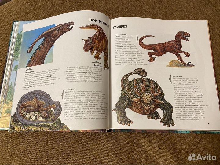 Книга про динозавров (энциклопедия)