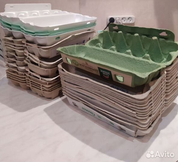 Ячейки из под яиц. Помидора домашняя