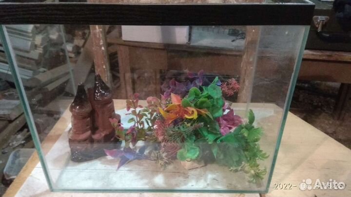Аквариум на 10 литров