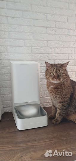 Умная кормушка для животных в прокат