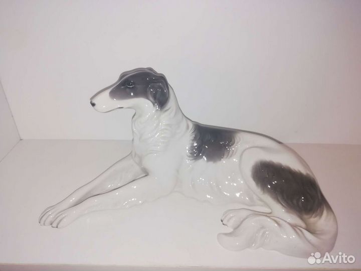Русская борзая, Германия, не Rosenthal