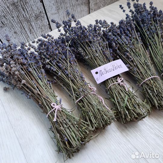 Букет из лаванды