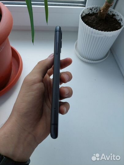 iPhone 11