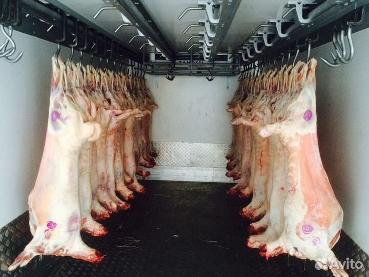 Баранина.Свежее мясо баранины. Ягнята