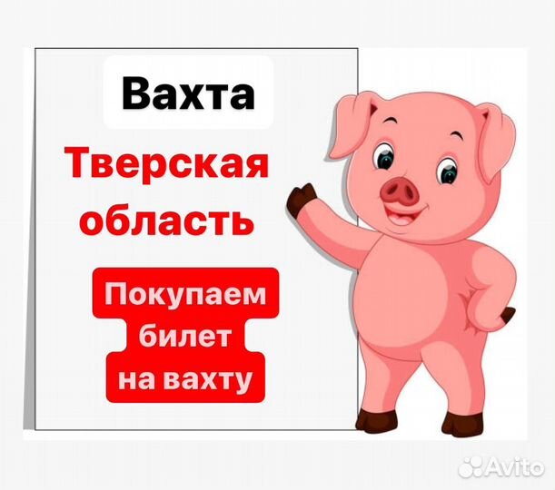 Упаковщики летняя подработка Вахта /оплатим проезд