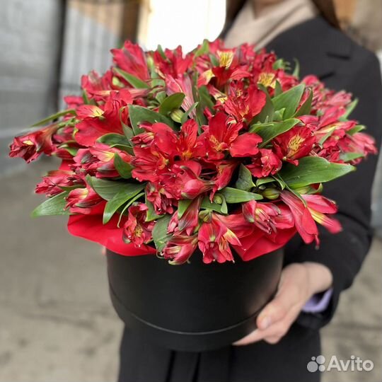 Цветы альстромерии опт