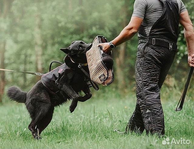 Спортивный жилет для собак с грузом 3 кг