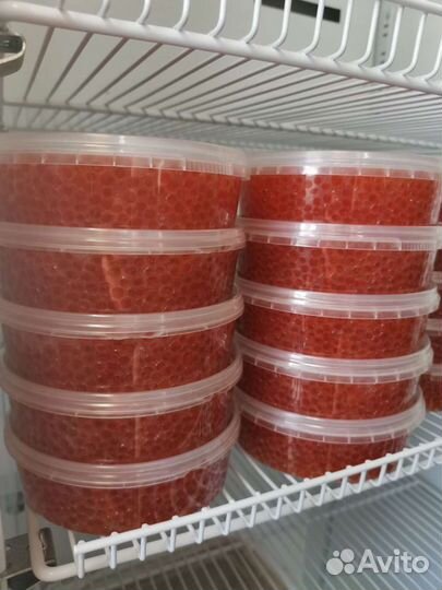 Красная Икра 2023 года