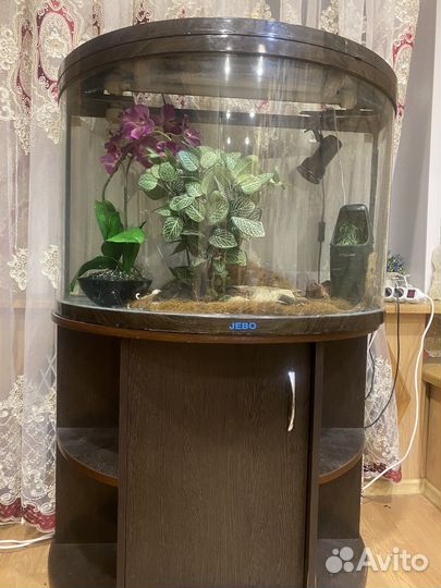Террариум/аквариум
