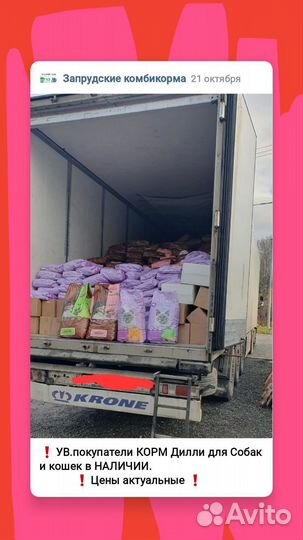 Корм Дилли для Собак и кошек