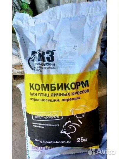 Корм для кур несушек