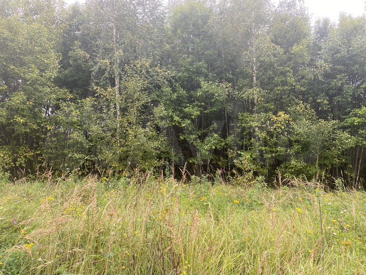 Участок 11,7 сот. (СНТ, ДНП)