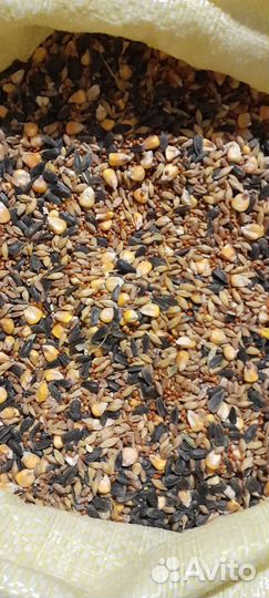 Ячмень,пшеница, отруби, комбикорма