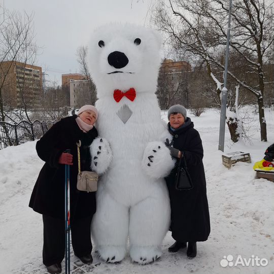Белый Мишка, Чебурашка на поздравление