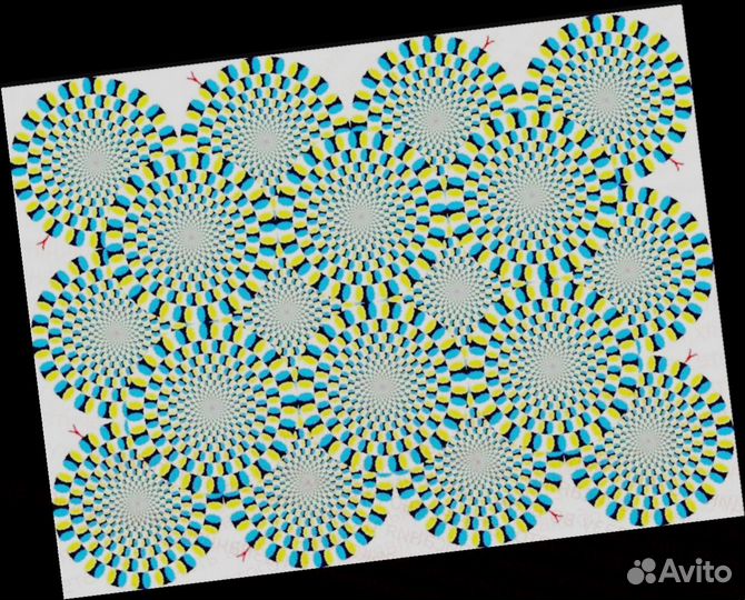 Грузчики Без опыта /Спецодежда /Супер условия Выпл