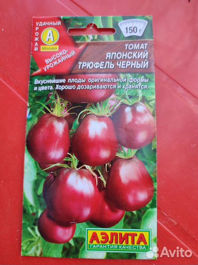 Рассада помидор