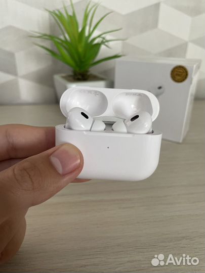 Airpods pro 2 (гарантия)