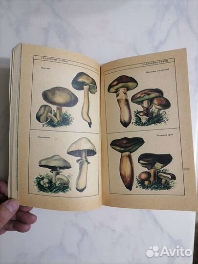 Книга 