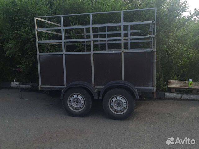 Аренда прицепа скотовоз в Абакане | Услуги | Авито