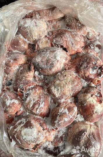 Корм для животных