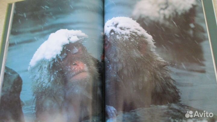Книги в подарочных изданиях